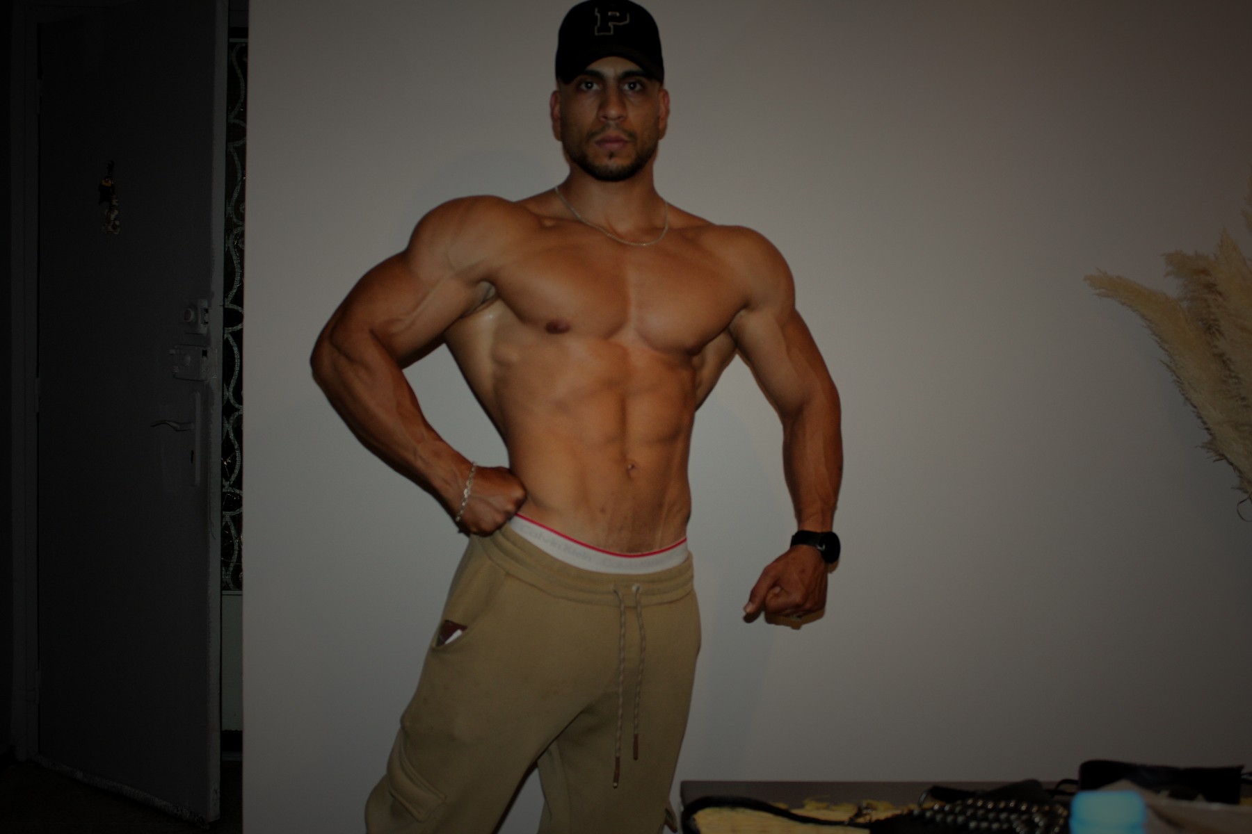 Palaminofit — transformation physique musculation hypertrophie